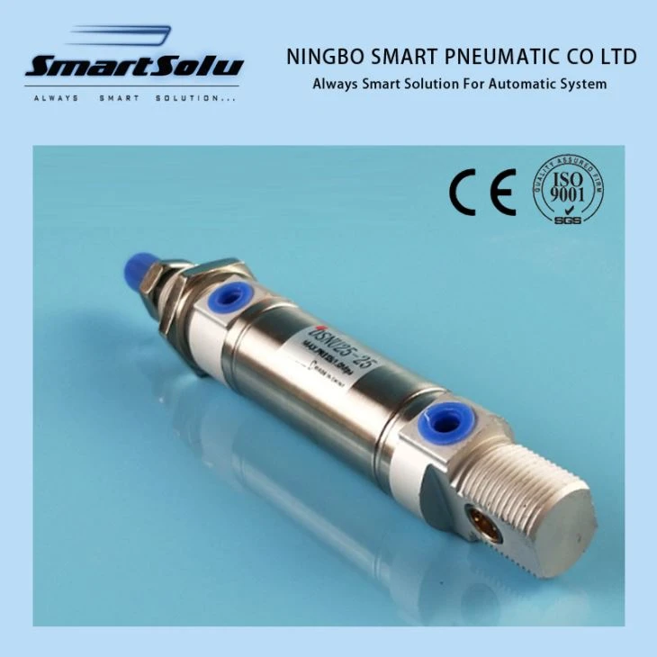 DSNU atau DSN Euro Berdiri Mini Air Cylinder