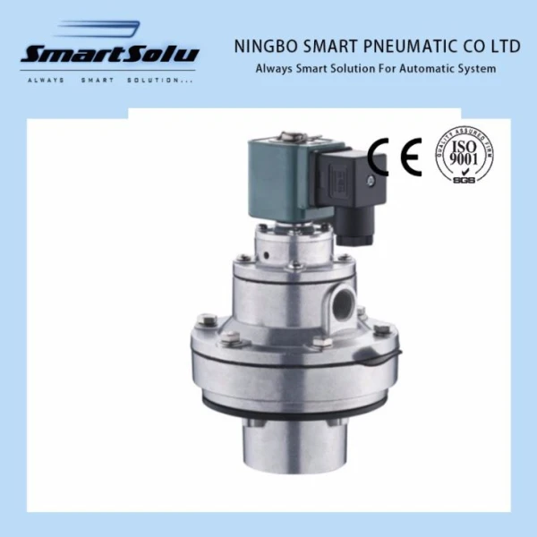 Thread Terendam G1 1/2 Inch Pneumatic Pulse Air Valve